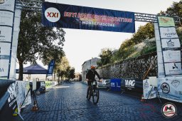Est! Est!! Est!!! - 2026 - Arrivo