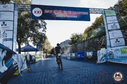 Est! Est!! Est!!! - 2026 - Arrivo
