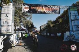 Est! Est!! Est!!! - 2026 - Arrivo