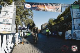 Est! Est!! Est!!! - 2026 - Arrivo