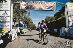 Est! Est!! Est!!! - 2026 - Arrivo