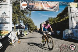 Est! Est!! Est!!! - 2026 - Arrivo