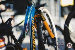 Est! Est!! Est!!! - 2026 - Arrivo