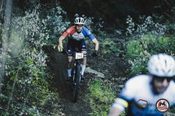 Est! Est!! Est!!! - 2026 - Percorso