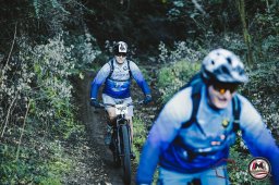 Est! Est!! Est!!! - 2026 - Percorso