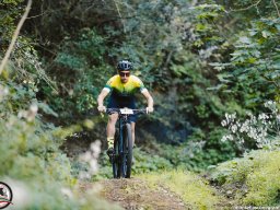 Gara