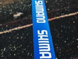 Staff